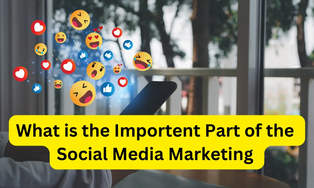 What Is The Importent Part Of The Social Media Marketing